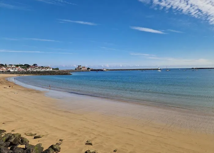 Jolie T2 Dans Arboree Avec Piscine Apartament Ciboure